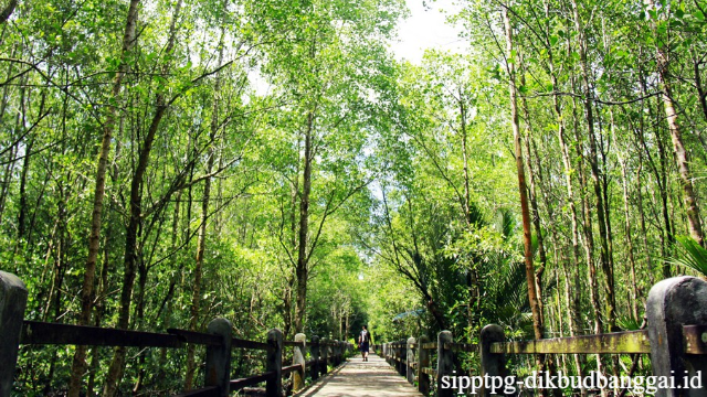 Kawasan Konservasi Hutan Mangrove Tarakan