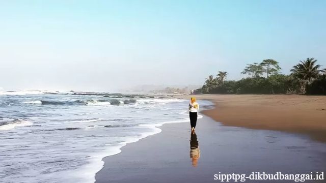 Panorama Keindahan Laut di Pantai Cidora