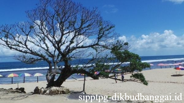 Pantai Pok Tunggal: Keindahan Alam Tersembunyi Gunungkidul